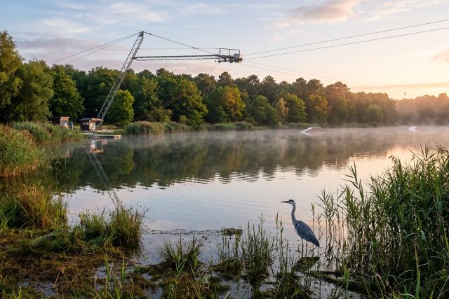 Plan d'eau calme bordé de roseaux au lever du jour, héron sur la berge et câble de téléski au-dessus